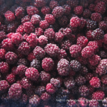 IQF Einfrieren Organic Blackberry Zl-022